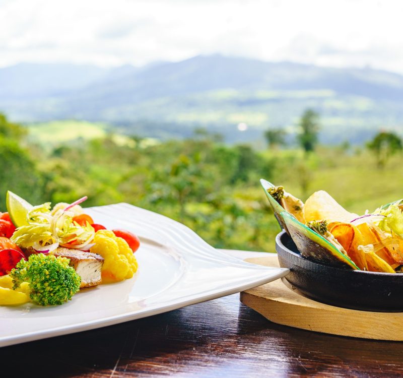 Wooden table with a dish of fish fillet with vegetables and a plate of marinated mussels in front of a forest landscape. Costa Rica gastronomy